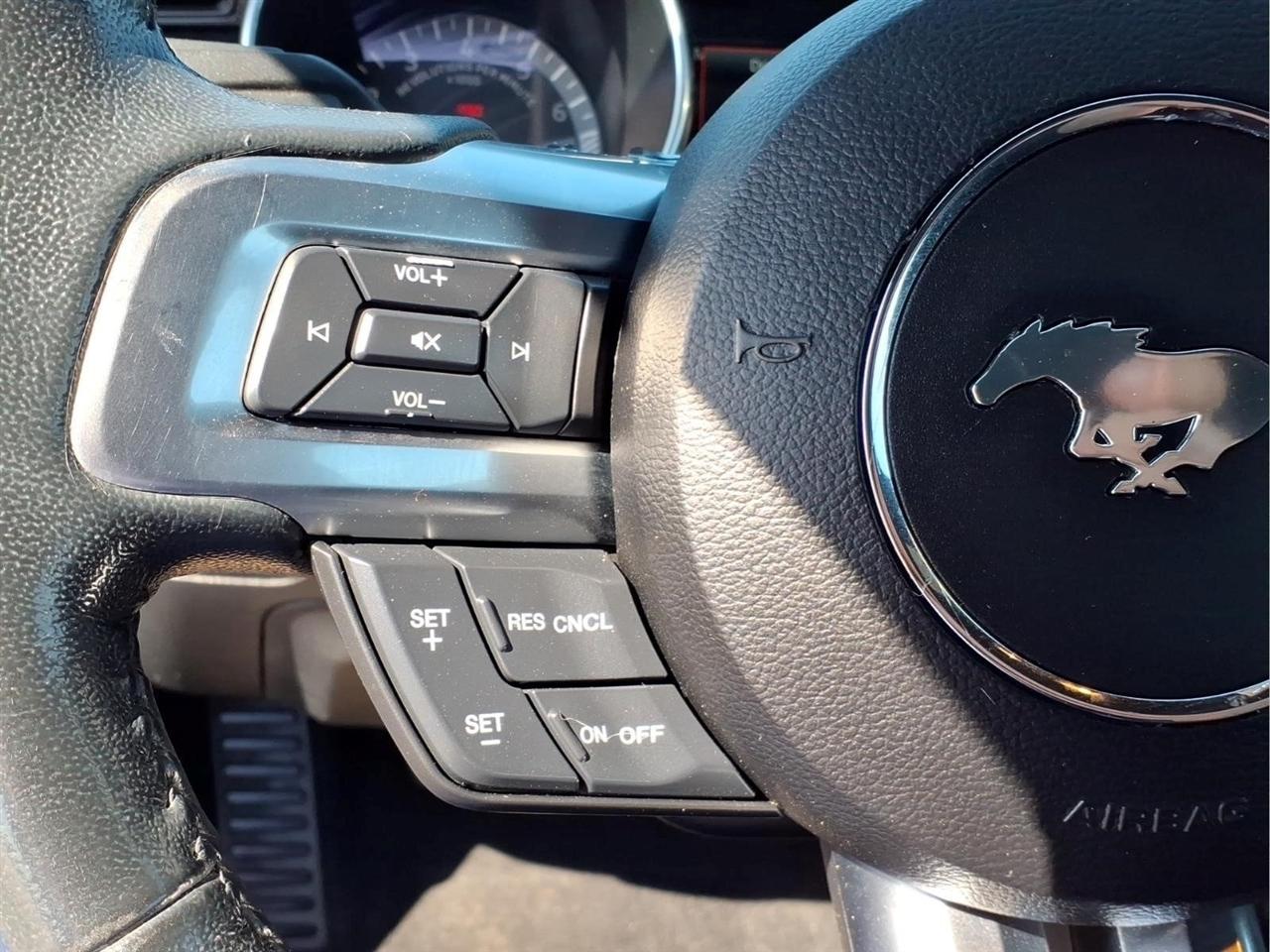 2019 Ford Mustang EcoBoost - Photo 19