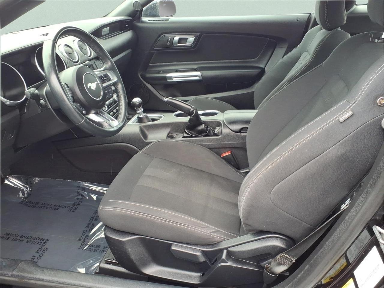 2019 Ford Mustang EcoBoost - Photo 14