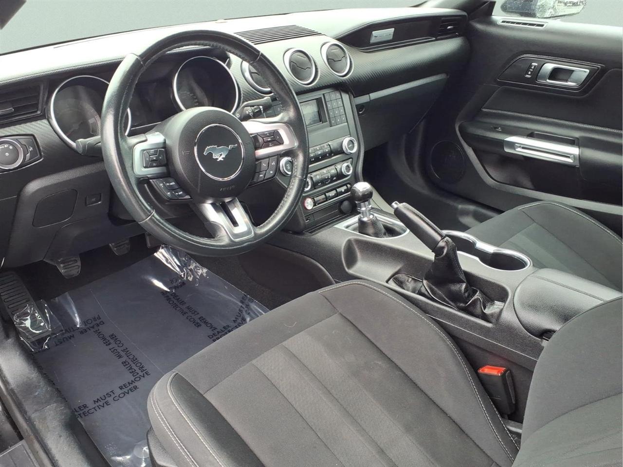 2019 Ford Mustang EcoBoost - Photo 16