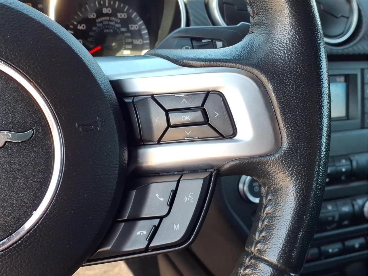 2019 Ford Mustang EcoBoost - Photo 18