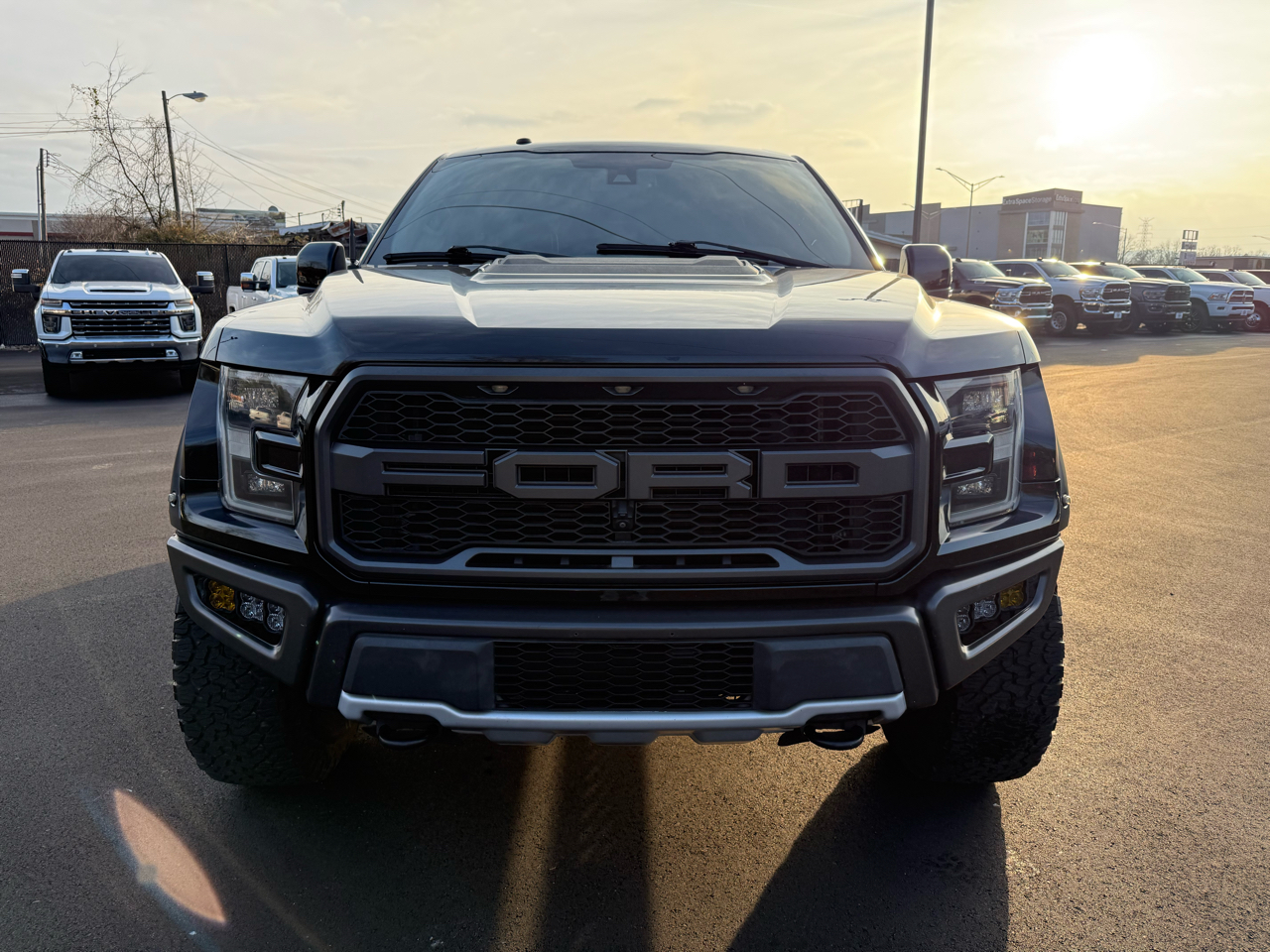 Ford F-150 4WD SuperCrew 145" SVT Raptor 2017
