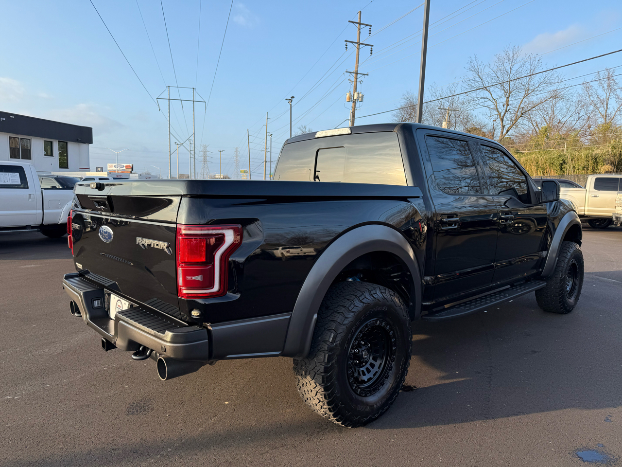 Ford F-150 4WD SuperCrew 145" SVT Raptor 2017