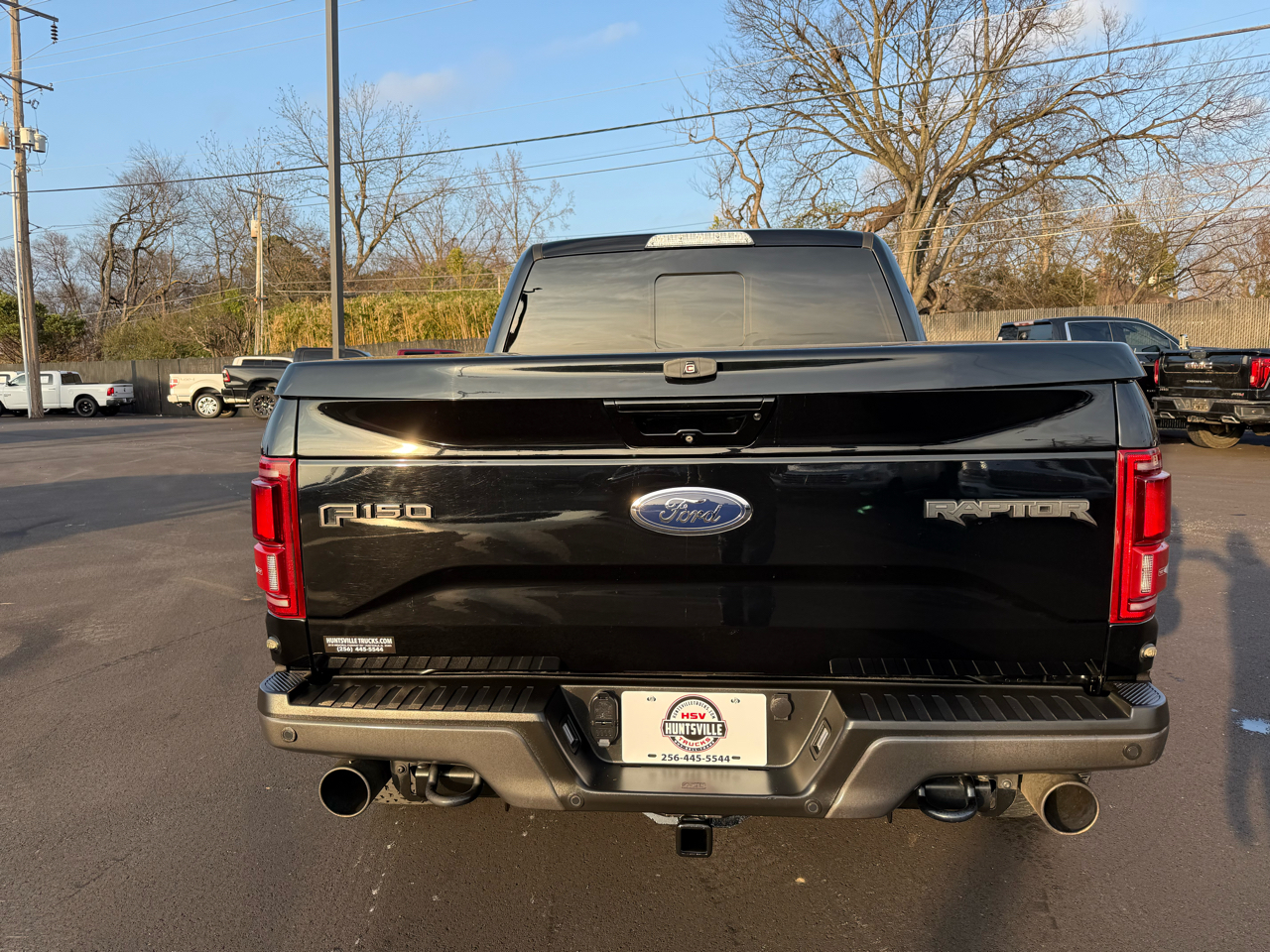 Ford F-150 4WD SuperCrew 145" SVT Raptor 2017
