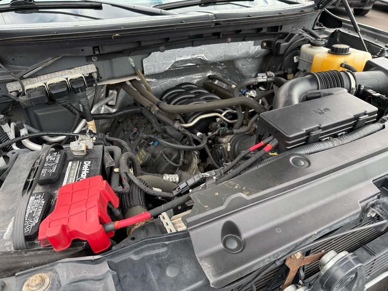 Ford F-150 4WD Reg Cab 126" XLT 2013