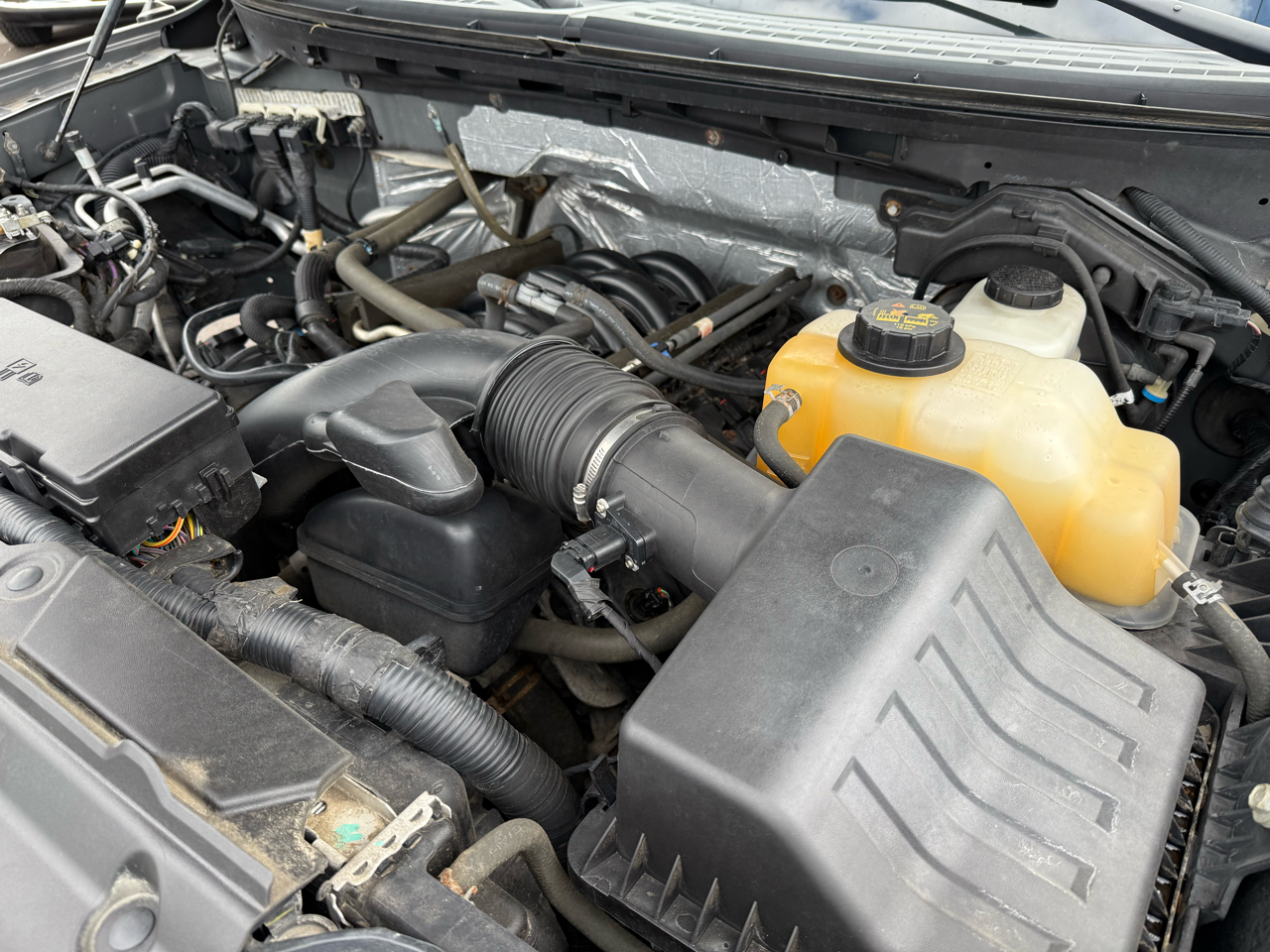 Ford F-150 4WD Reg Cab 126" XLT 2013