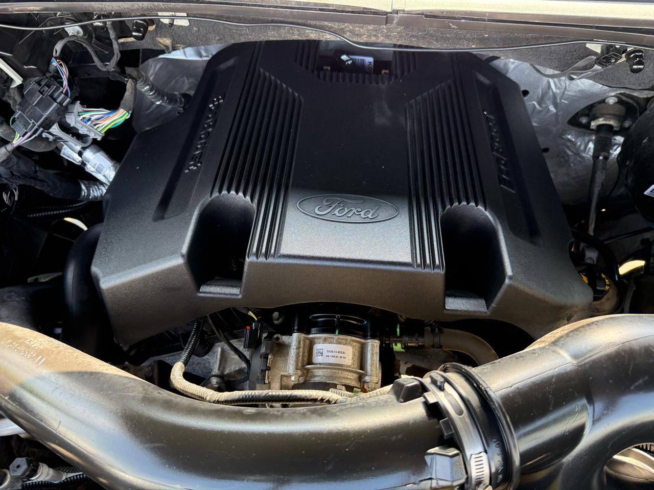 Ford F-150 4WD SuperCrew 139" XLT 2019