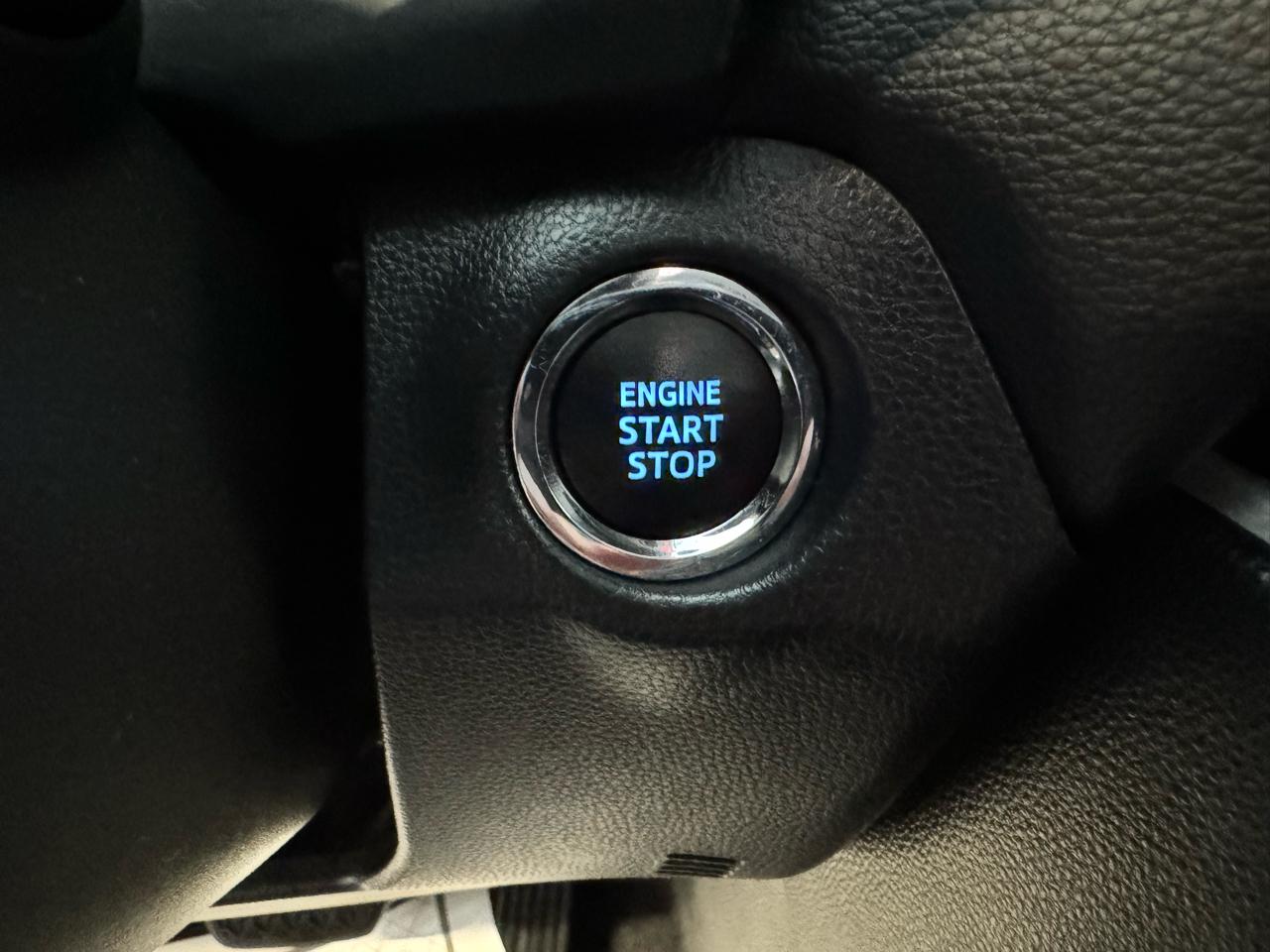 Toyota RAV4 XLE AWD (Natl) 2021