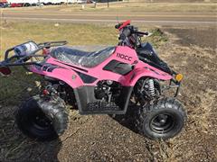 2024 Vitacci Hawk 110cc 