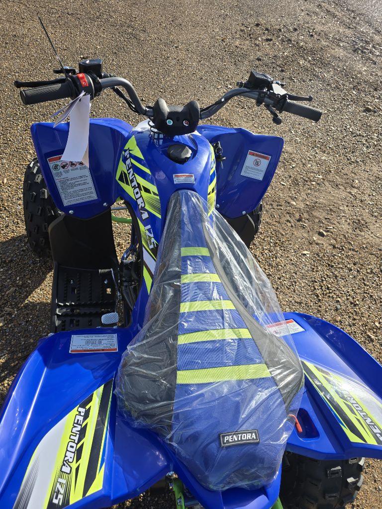 Sunyee Pentora 125  2024