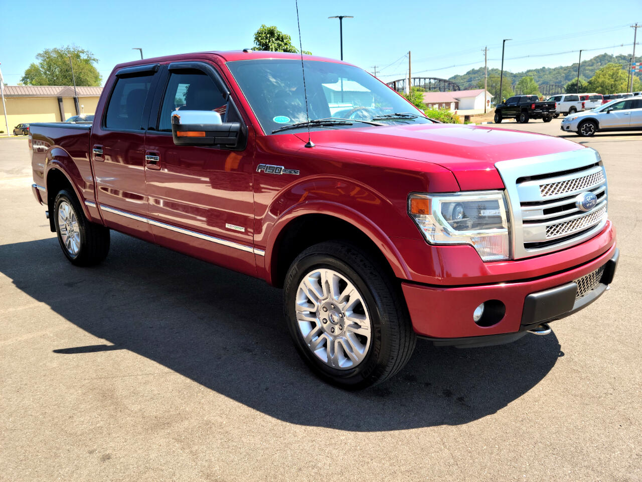 2013 Ford F-150 Platinum photo 3