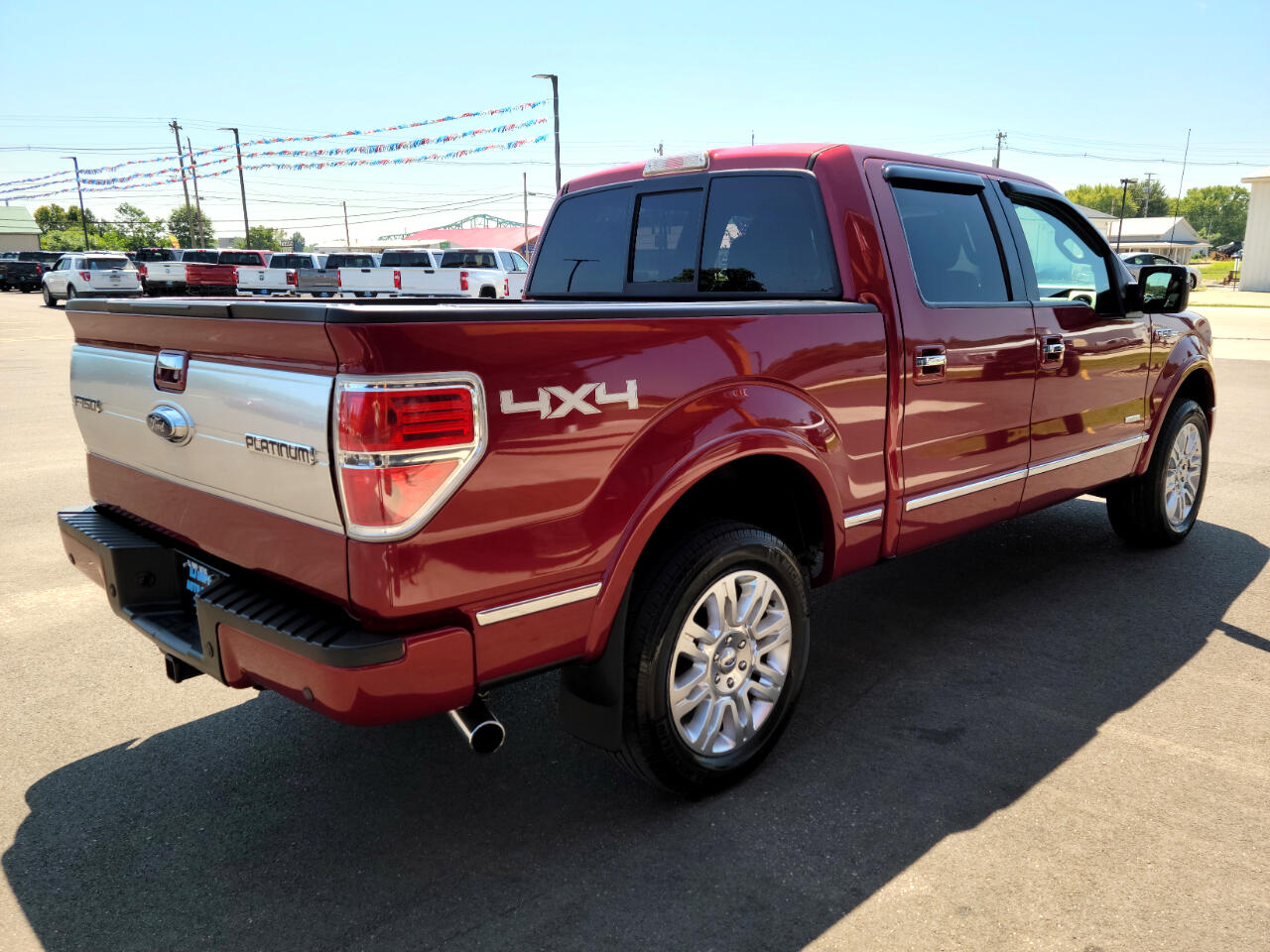 2013 Ford F-150 Platinum photo 4