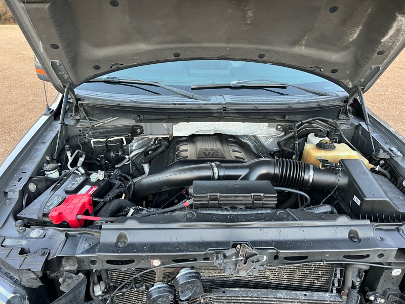 Ford F-150 FX4 4WD 2012