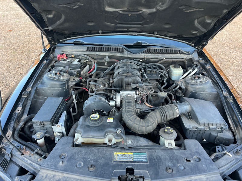 Ford Mustang V6 Deluxe Convertible 2005