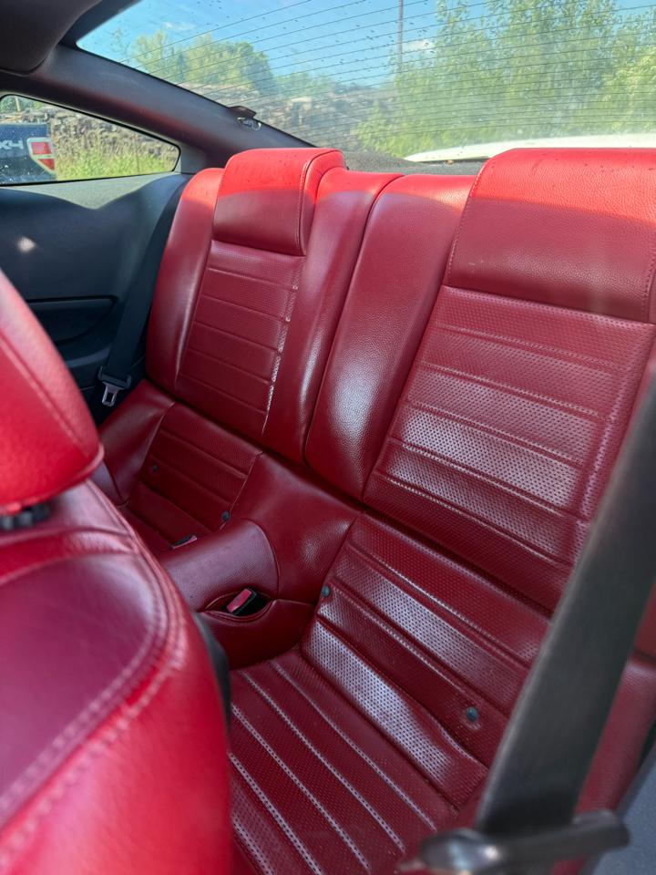 Ford Mustang V6 Deluxe Coupe 2005