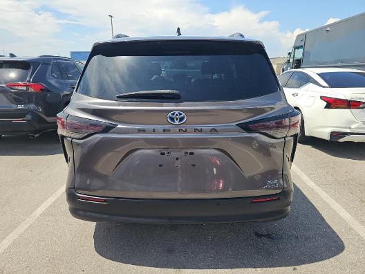 Toyota Sienna XLE FWD 8-Passenger (Natl) 2023