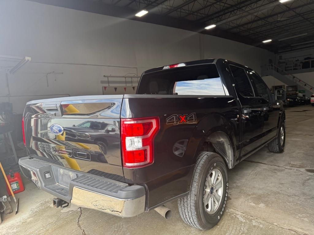 Ford F-150 XL SuperCrew 6.5-ft. Bed 4WD 2020