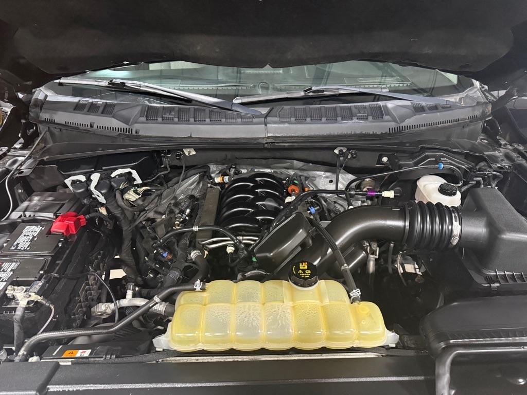 Ford F-150 XL SuperCrew 6.5-ft. Bed 4WD 2020