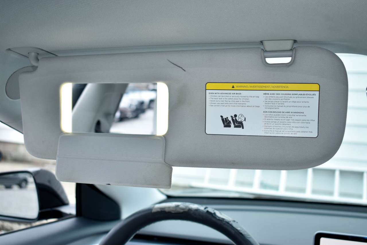 Tesla Model 3 Standard Range Plus 2021