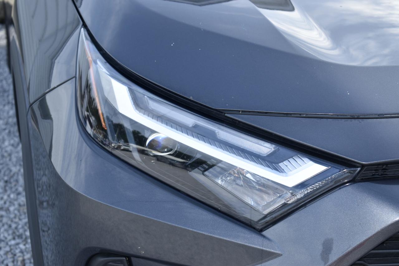 Toyota RAV4 XLE 2024