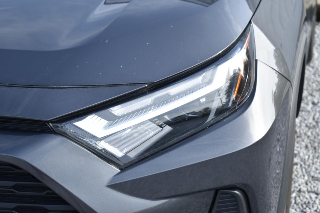 Toyota RAV4 XLE 2024