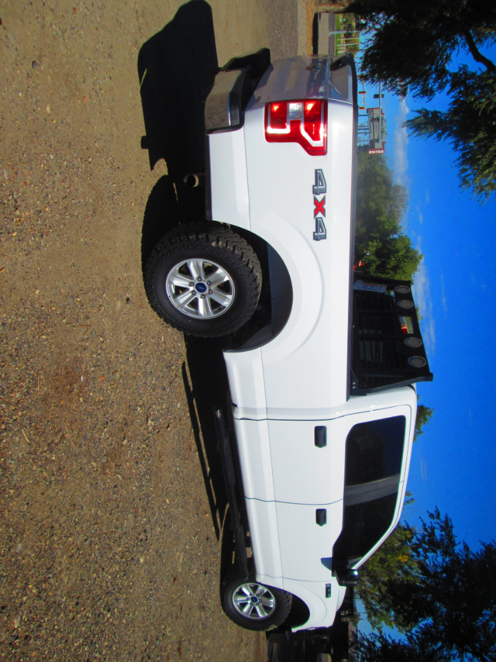 Ford 1/2 Ton Trucks  2019 Ford 1/2 Ton Trucks  2019