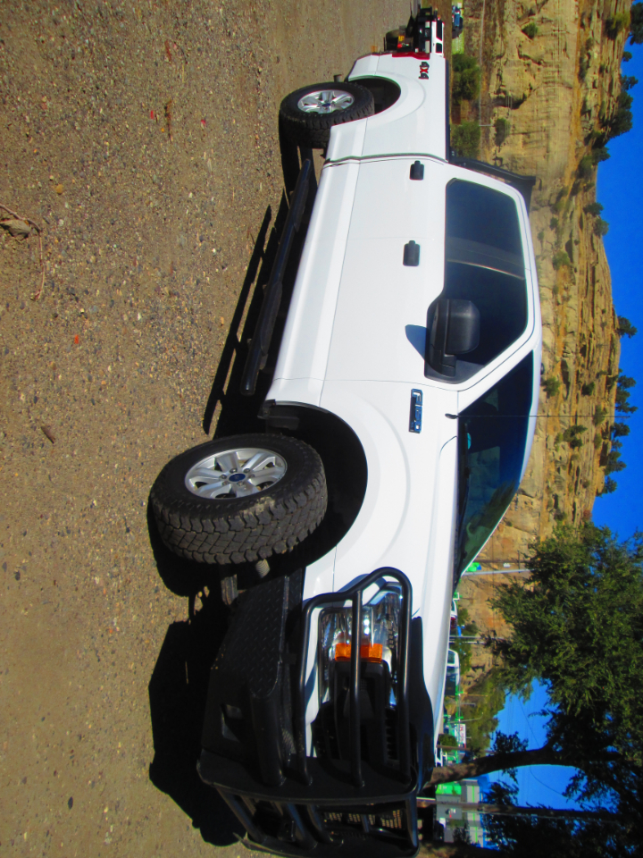 Ford 1/2 Ton Trucks  2019 Ford 1/2 Ton Trucks  2019