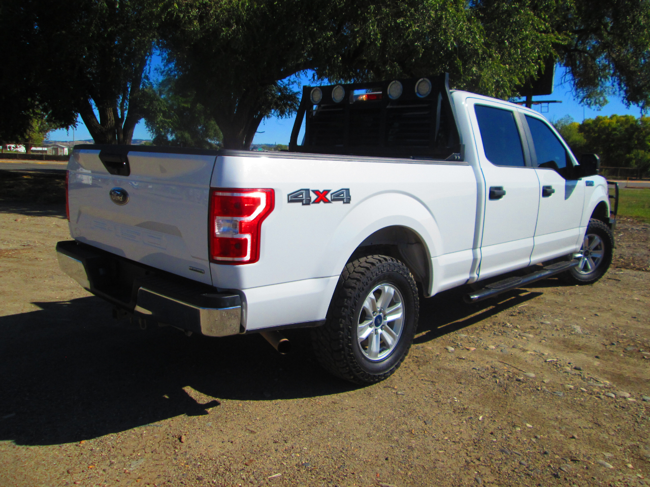 Ford 1/2 Ton Trucks  2019 Ford 1/2 Ton Trucks  2019