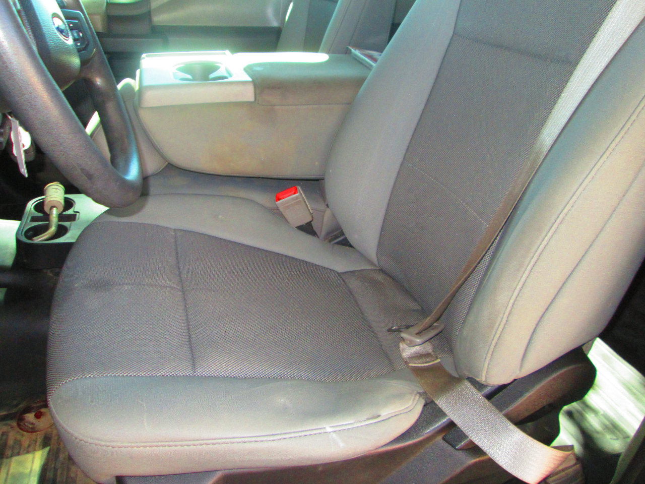 Ford 1/2 Ton Trucks  2019 Ford 1/2 Ton Trucks  2019