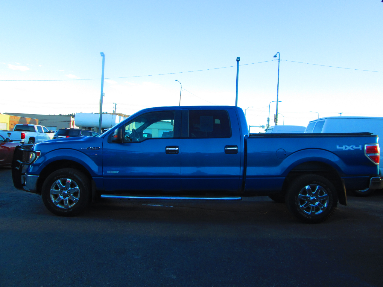 Ford F-150 4WD SuperCrew 145" XLT 2014
