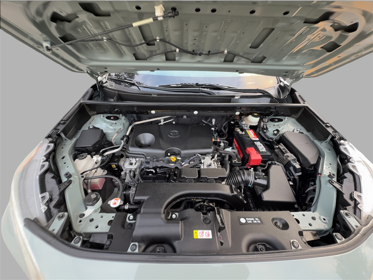 Toyota RAV4 XLE 2019