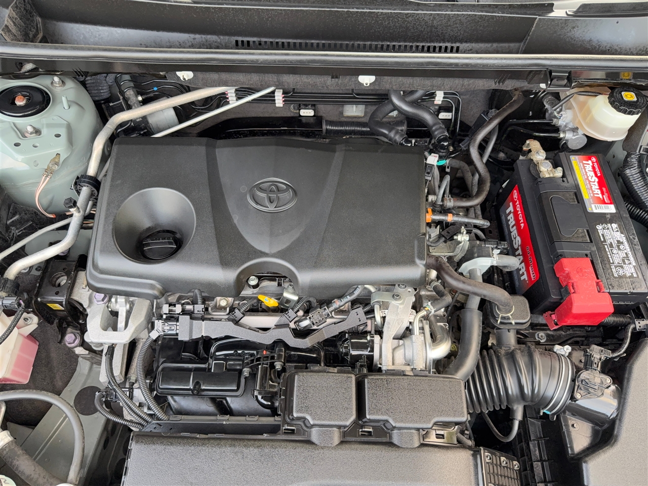 Toyota RAV4 XLE 2019