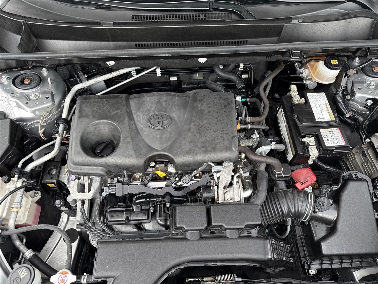 2019 Toyota RAV4 - $21,000