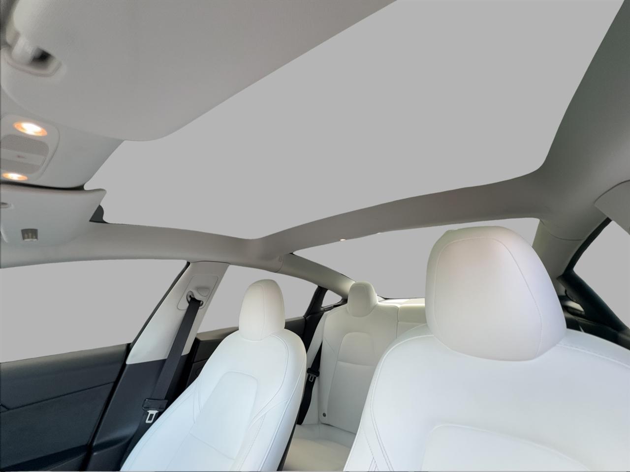 Tesla Model 3 Performance 2023
