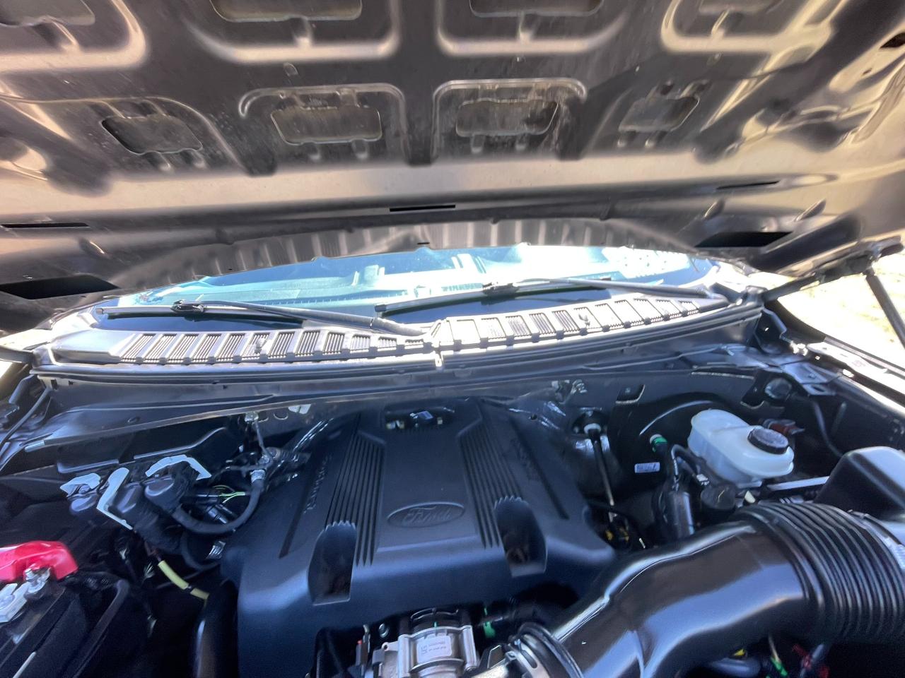 Ford Expedition XLT 2020