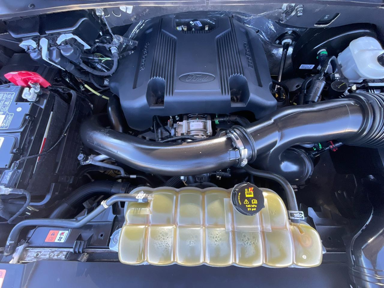 Ford Expedition XLT 2020