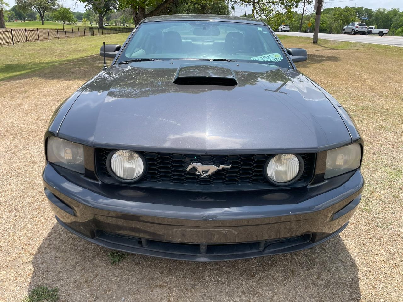 Ford Mustang GT Deluxe Coupe 2008