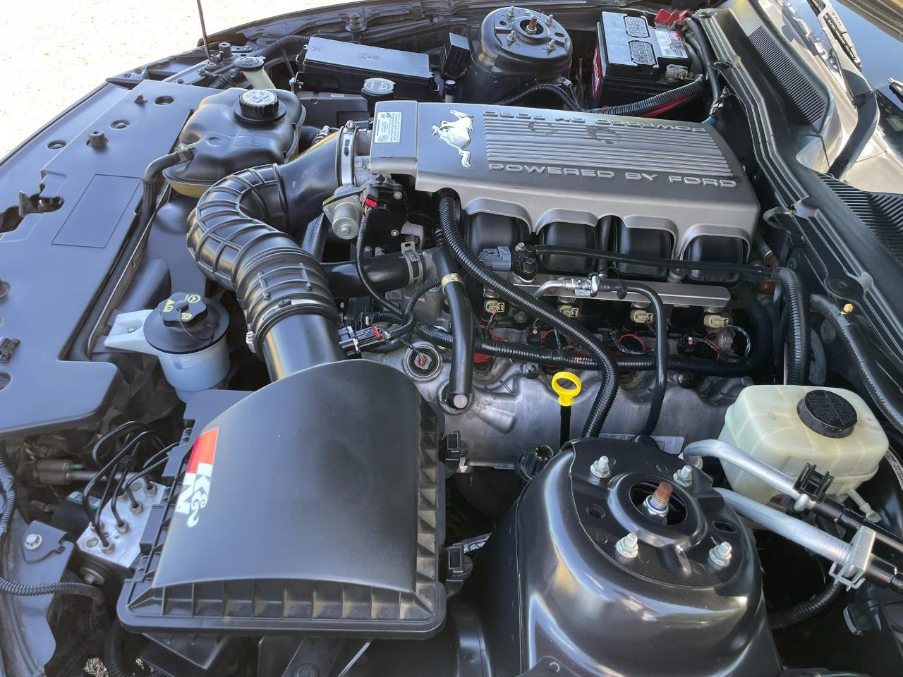 Ford Mustang GT Deluxe Coupe 2008