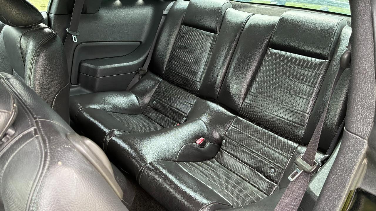 Ford Mustang GT Deluxe Coupe 2006