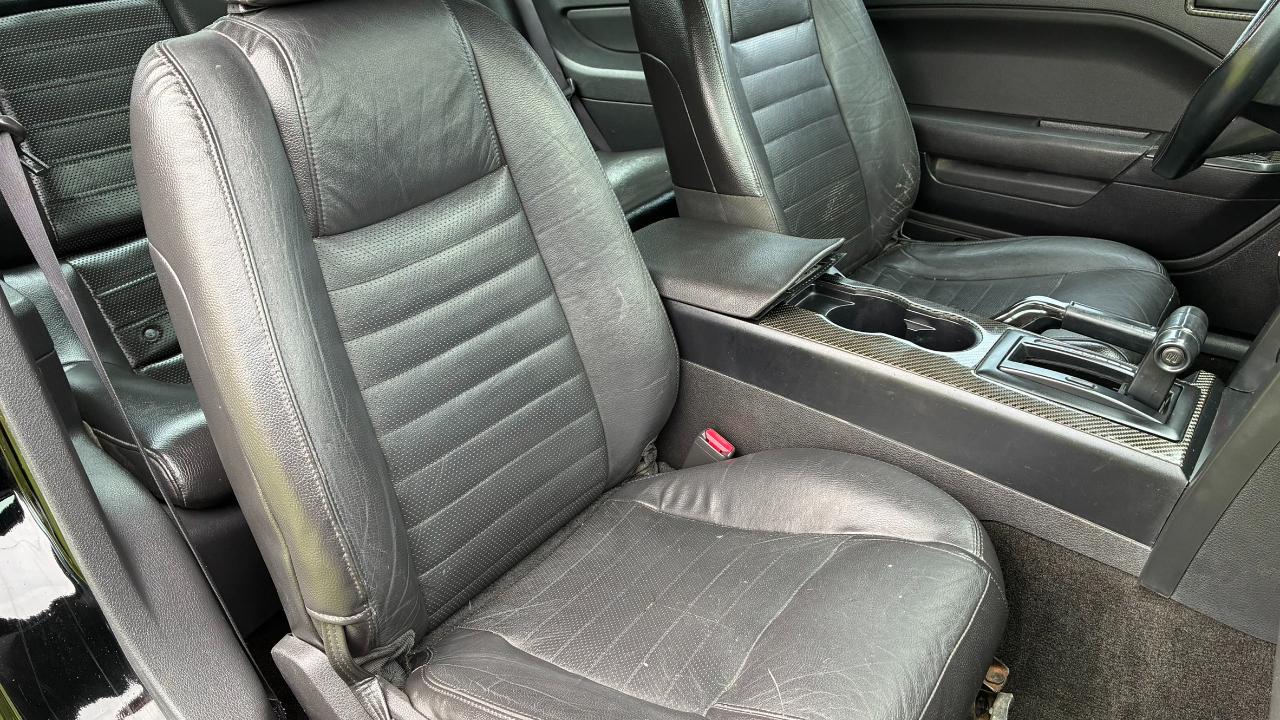 Ford Mustang GT Deluxe Coupe 2006