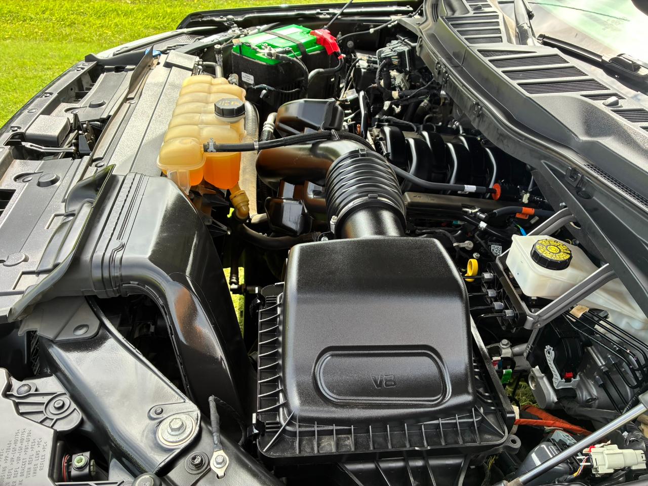 Ford F-150  2021