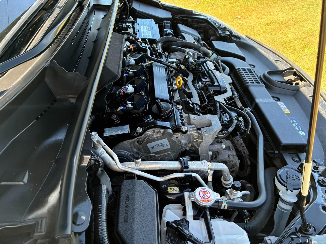 Toyota Corolla SE Hatchback 6M 2021