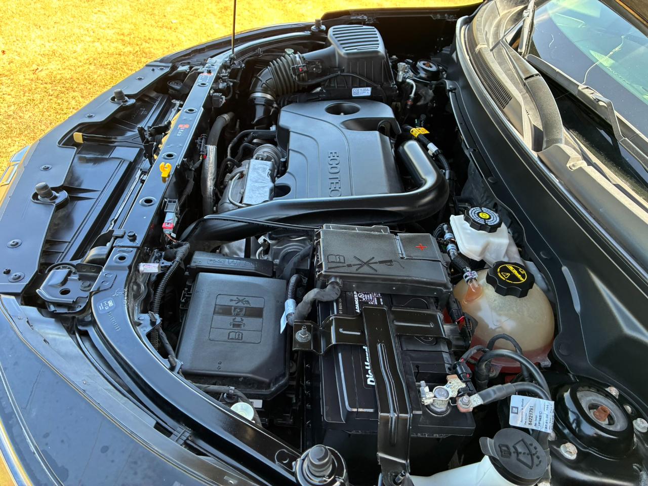 Chevrolet Equinox LS 2WD 2024