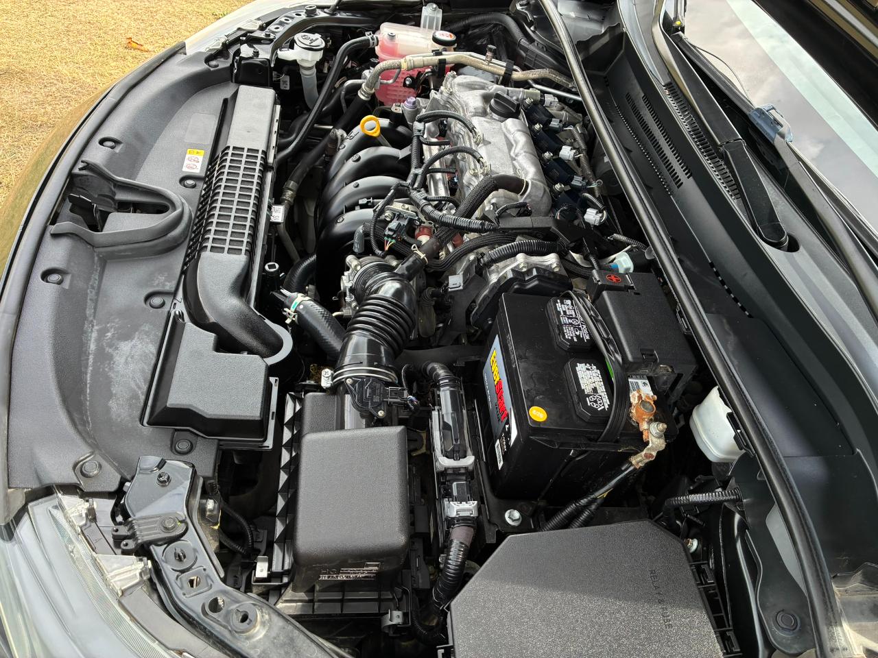 Toyota Corolla LE 2021