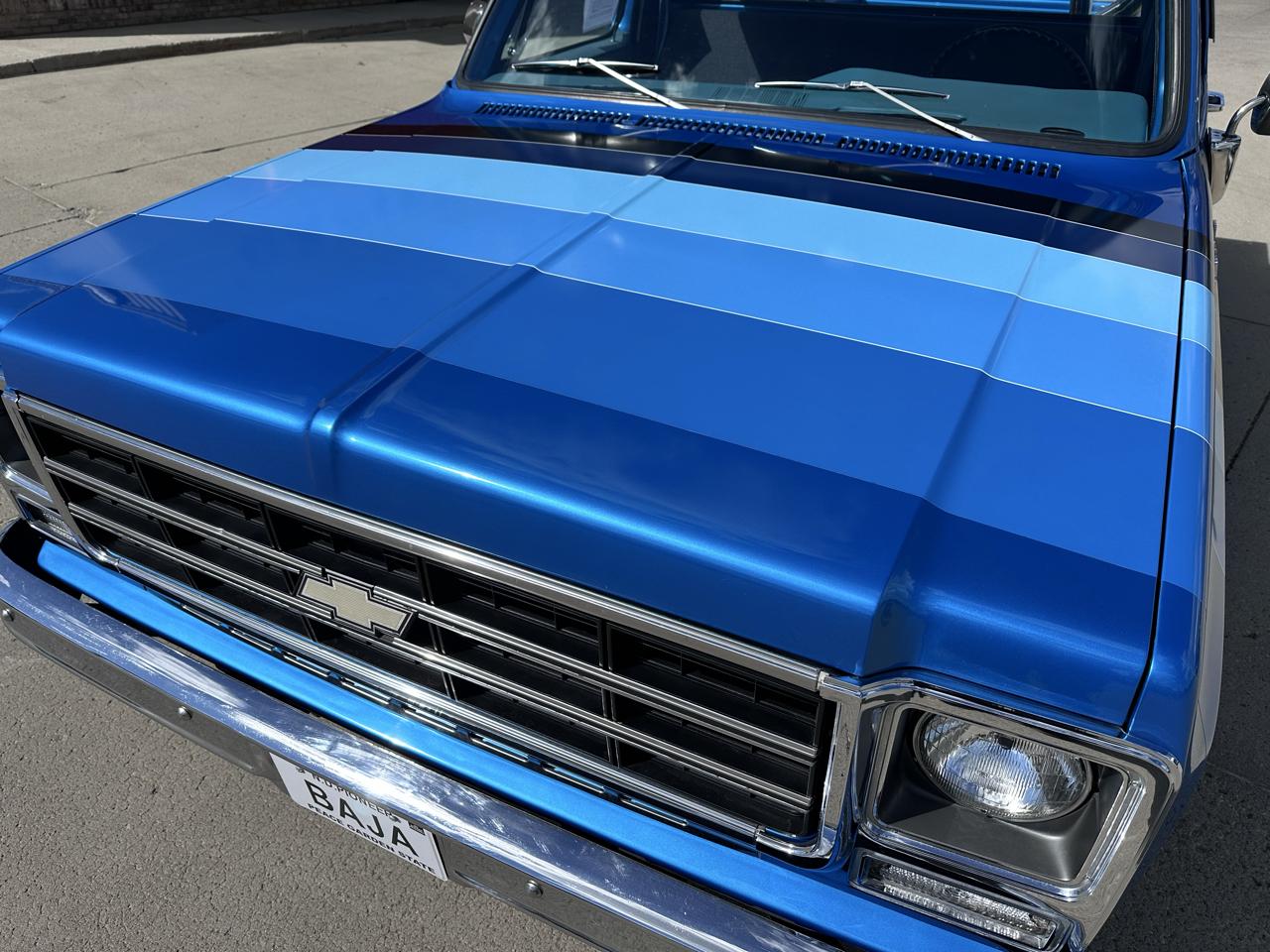 Chevrolet C/K 10 Regular Cab 4WD 1979