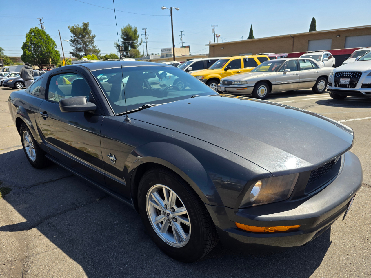 2009 Ford Mustang V6 photo 4