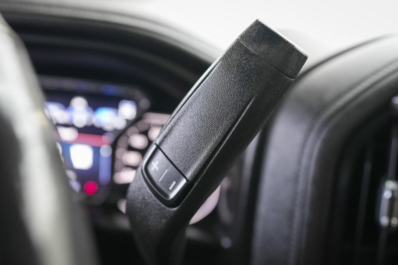 GMC Sierra 1500 Denali Crew Cab 4WD 2019