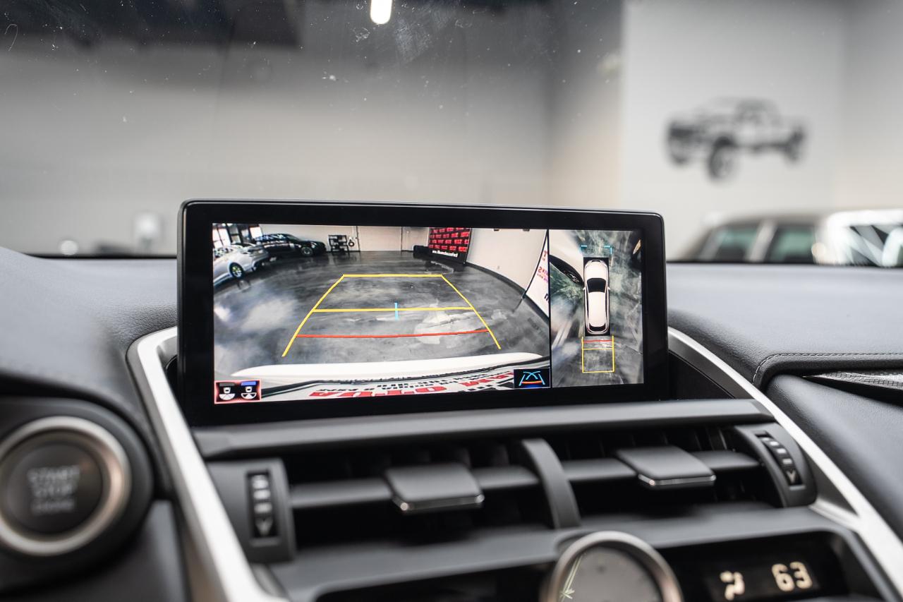 Lexus NX 300 Premium AWD 2021