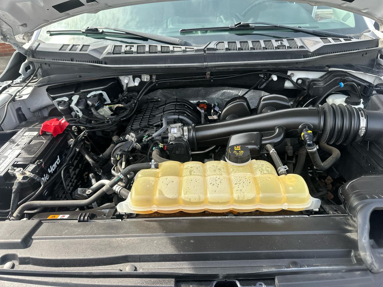 Ford F-150 4WD Reg Cab 126" XL 2019