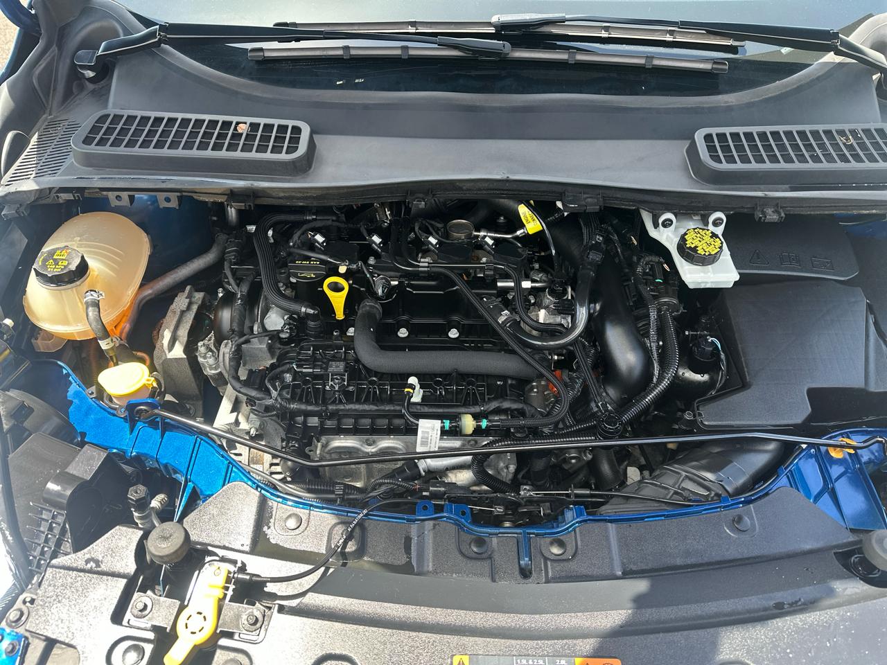 Ford Escape SE 4WD 2019