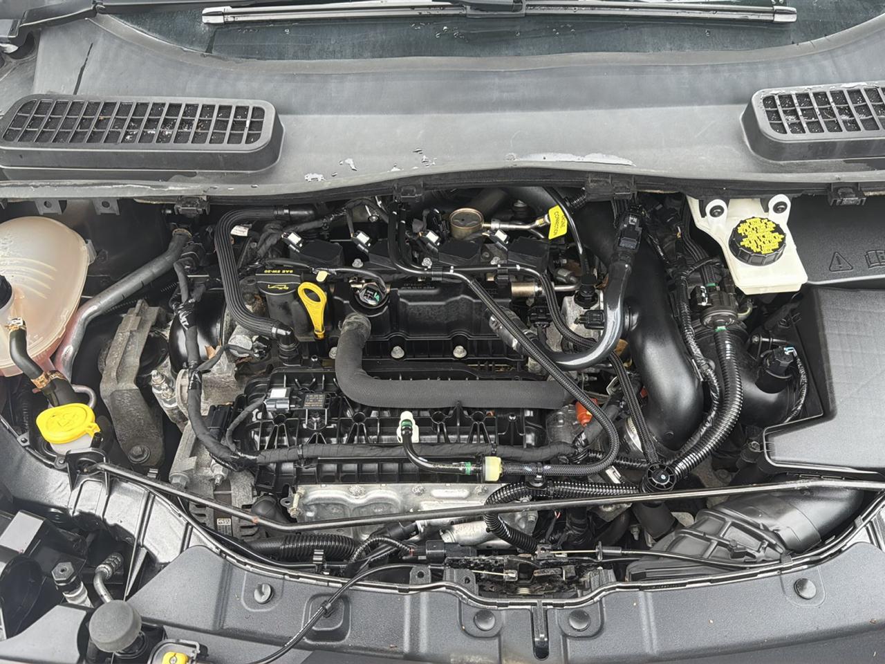 Ford Escape SE 4WD 2019